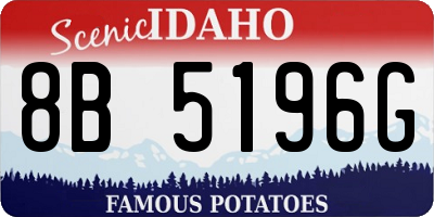 ID license plate 8B5196G