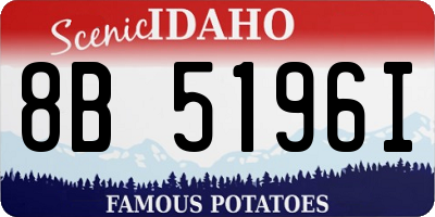 ID license plate 8B5196I