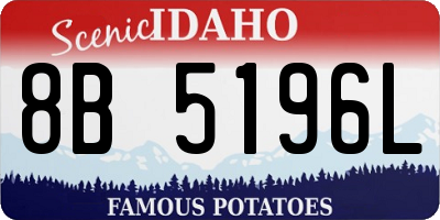 ID license plate 8B5196L