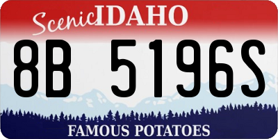 ID license plate 8B5196S