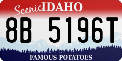 ID license plate 8B5196T