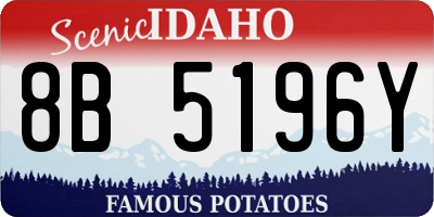 ID license plate 8B5196Y