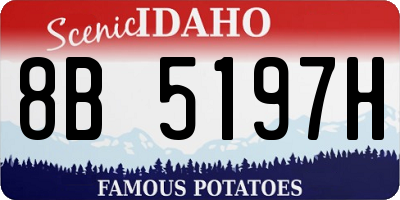 ID license plate 8B5197H