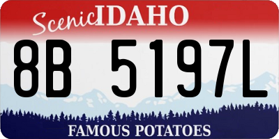 ID license plate 8B5197L