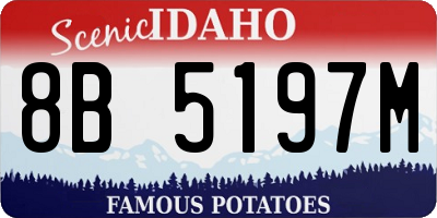 ID license plate 8B5197M