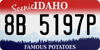 ID license plate 8B5197P