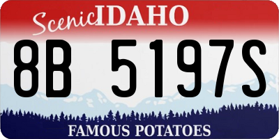 ID license plate 8B5197S