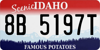 ID license plate 8B5197T