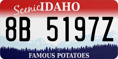 ID license plate 8B5197Z