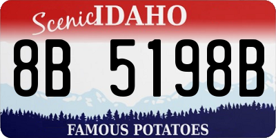 ID license plate 8B5198B