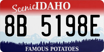 ID license plate 8B5198E