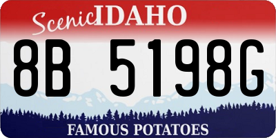 ID license plate 8B5198G