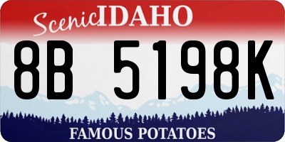ID license plate 8B5198K