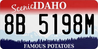 ID license plate 8B5198M