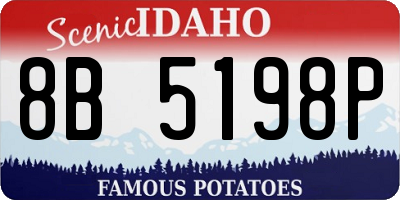 ID license plate 8B5198P