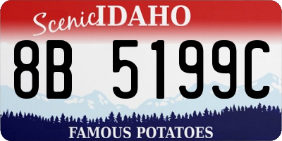 ID license plate 8B5199C