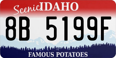 ID license plate 8B5199F