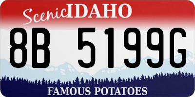ID license plate 8B5199G