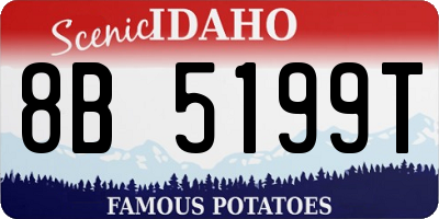 ID license plate 8B5199T