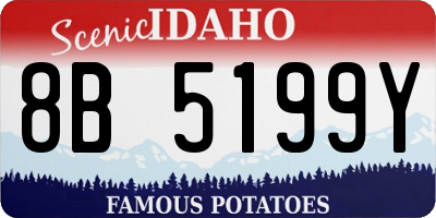 ID license plate 8B5199Y