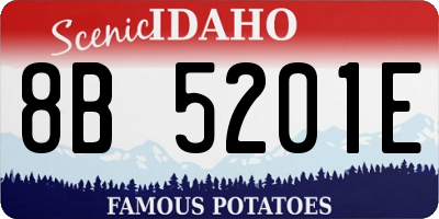 ID license plate 8B5201E