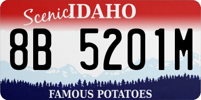 ID license plate 8B5201M