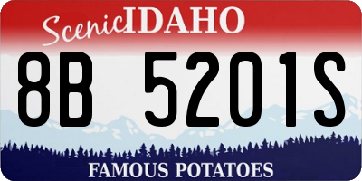 ID license plate 8B5201S