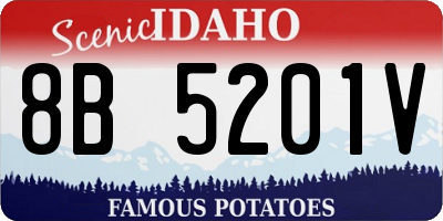 ID license plate 8B5201V