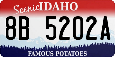 ID license plate 8B5202A
