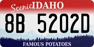 ID license plate 8B5202D
