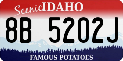 ID license plate 8B5202J