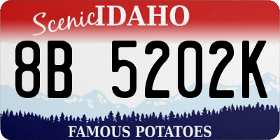 ID license plate 8B5202K