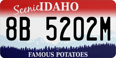 ID license plate 8B5202M