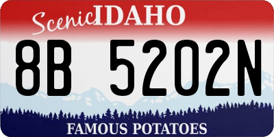 ID license plate 8B5202N