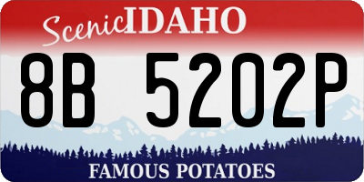 ID license plate 8B5202P