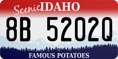 ID license plate 8B5202Q