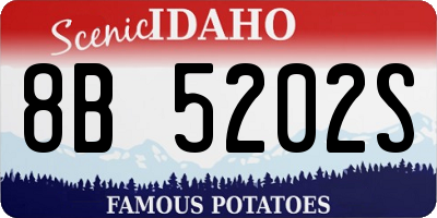 ID license plate 8B5202S