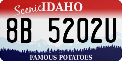 ID license plate 8B5202U