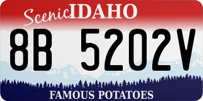ID license plate 8B5202V