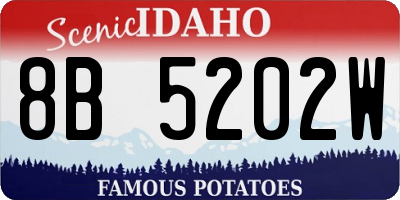 ID license plate 8B5202W