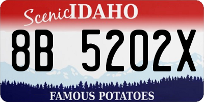ID license plate 8B5202X