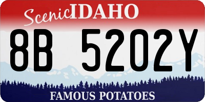 ID license plate 8B5202Y