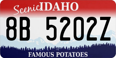 ID license plate 8B5202Z