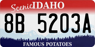ID license plate 8B5203A