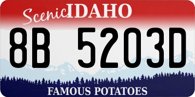 ID license plate 8B5203D