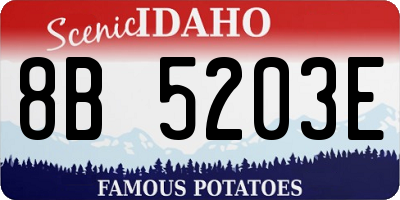 ID license plate 8B5203E