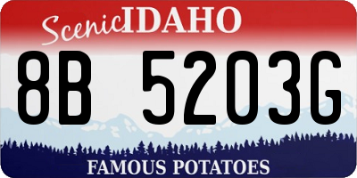 ID license plate 8B5203G