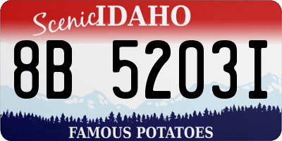 ID license plate 8B5203I