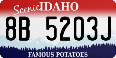 ID license plate 8B5203J