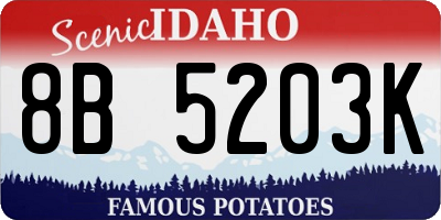 ID license plate 8B5203K